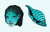 Tsireya cursor