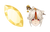 Ningguang Cursor