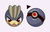 Machamp Cursor