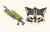 Raccoon Cursor