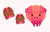 Pig Cursor