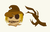 Scarecrow Cursor